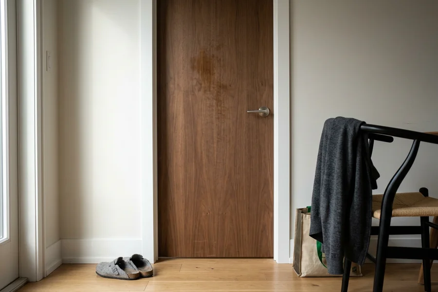 Flush slab interior door in a walnut veneer finish with minimal trim