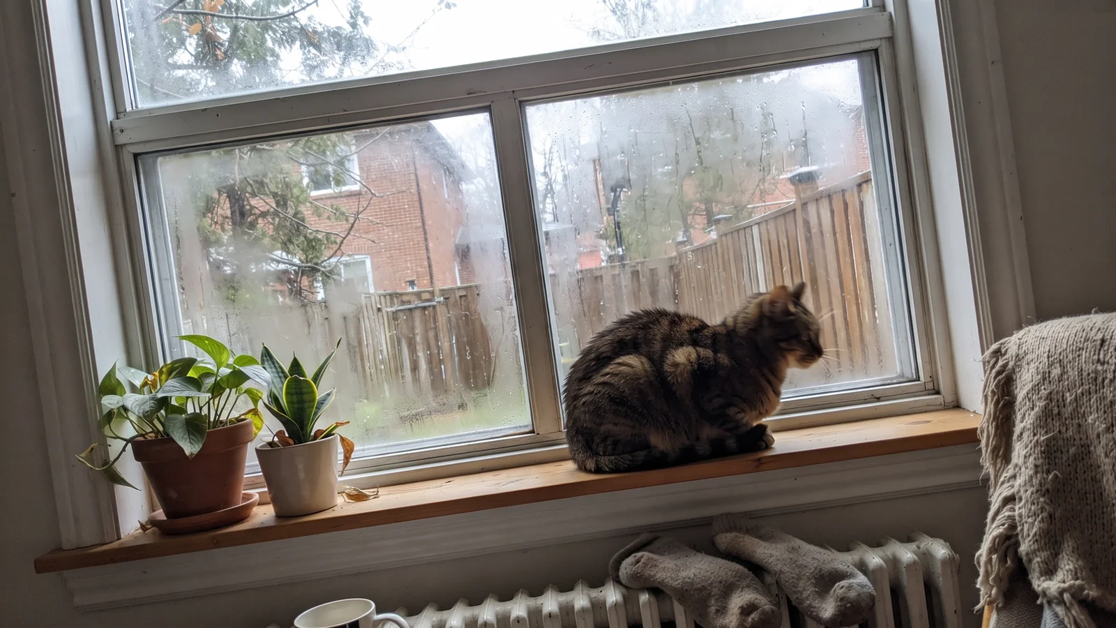 Foggy window with condensation trapped between the panes in a GTA home